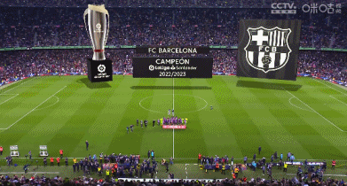 意媒：伊布、费拉拉入选米兰冬奥会火炬传递阵容